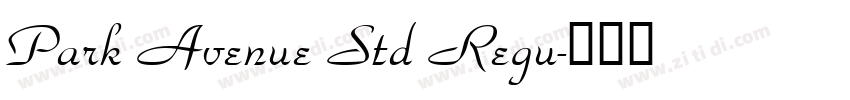 Park Avenue Std Regu字体转换